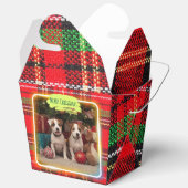 BALLOTINS チェック柄がかわいいジャックラッセルテリアの子犬たちとクリスマス♡ (Ouvrir)