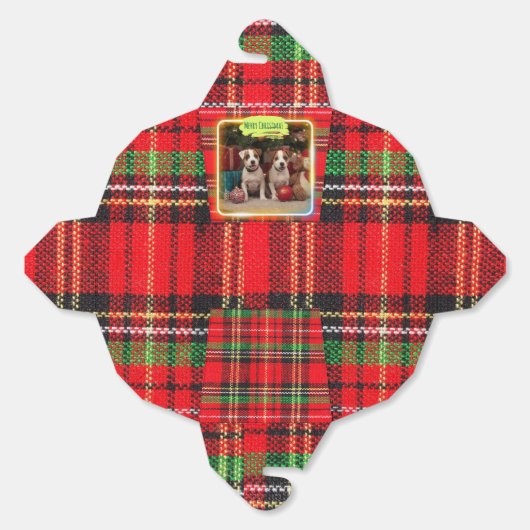 BALLOTINS チェック柄がかわいいジャックラッセルテリアの子犬たちとクリスマス♡ (Déplié)