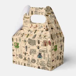 Ballotins Abeille Insecte Bug Wasp Histoire naturelle abeill