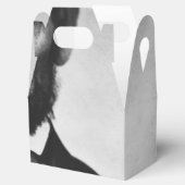 Ballotins Abraham Lincoln Portrait (Ouvert)