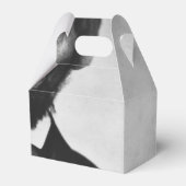 Ballotins Abraham Lincoln Portrait (Verso)