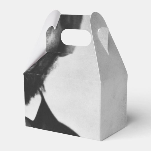 Ballotins Abraham Lincoln Portrait (Verso)