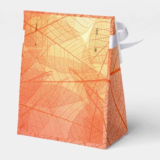 Ballotins Abstract Wraps 6 (Arrière)