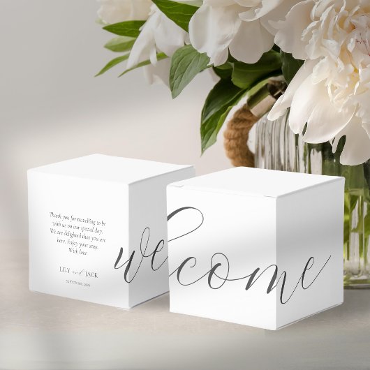 Ballotins Accueil Mariage blanc chic | BALLOTIN MERCI