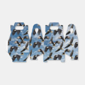 Ballotins Aigle à tête blanche (Déplié)