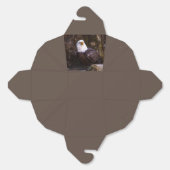 Ballotins Aigle de Bald (Déplié)