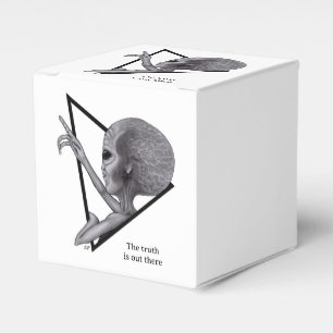 Ballotins Alien gris, la vérité est là