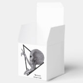 Ballotins Alien gris, la vérité est là (Ouvert)