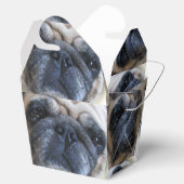 Ballotins Allez-y Bientôt Sick Carlin Chien (Ouvert)