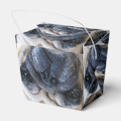 Ballotins Allez-y Bientôt Sick Carlin Chien (Arrière)