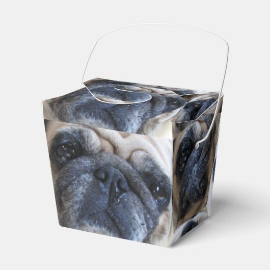 Ballotins Allez-y Bientôt Sick Carlin Chien (Verso)