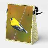 Ballotins American Goldfinch - Photo originale (Arrière)