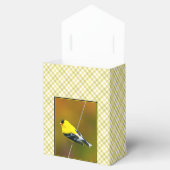 Ballotins American Goldfinch - Photo originale (Ouvert)