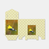 Ballotins American Goldfinch - Photo originale (Déplié)