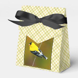 Ballotins American Goldfinch - Photo originale