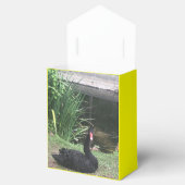 Ballotins Amour de zoo (Ouvert)