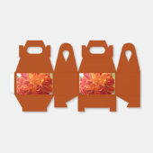 Ballotins Anastaise (Déplié)