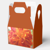 Ballotins Anastaise (Ouvert)