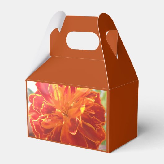 Ballotins Anastaise (Verso)