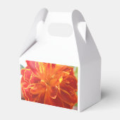 Ballotins Anastaise (Arrière)