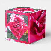 Ballotins Anicia (Arrière)