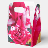 Ballotins Anicia (Ouvert)