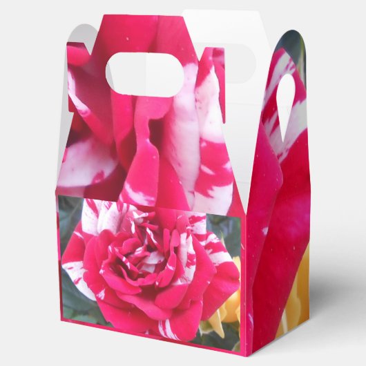 Ballotins Anicia (Ouvert)