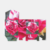 Ballotins Anicia (Déplié)