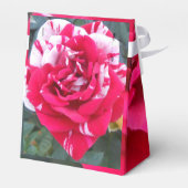 Ballotins Anicia (Arrière)