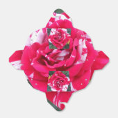 Ballotins Anicia (Déplié)