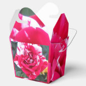 Ballotins Anicia (Ouvert)