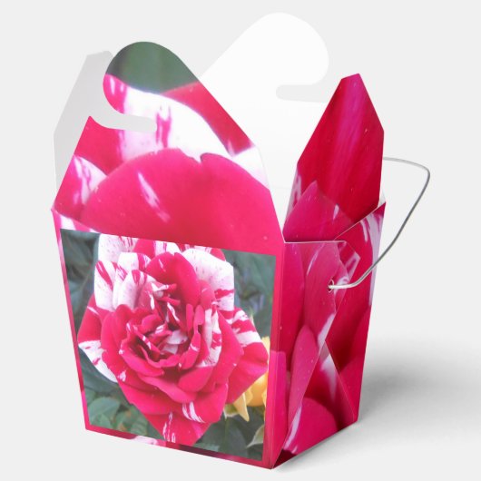 Ballotins Anicia (Ouvert)