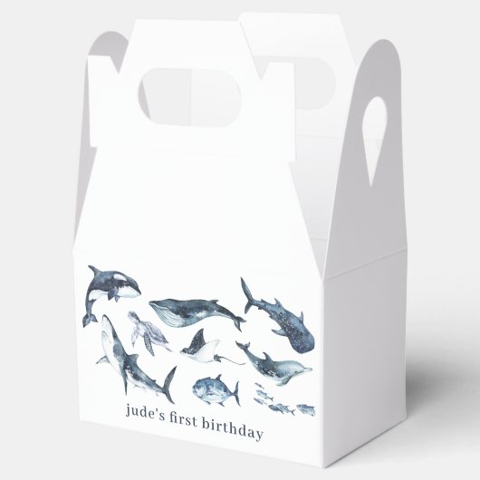 Ballotins Animaux marins (Ouvert)