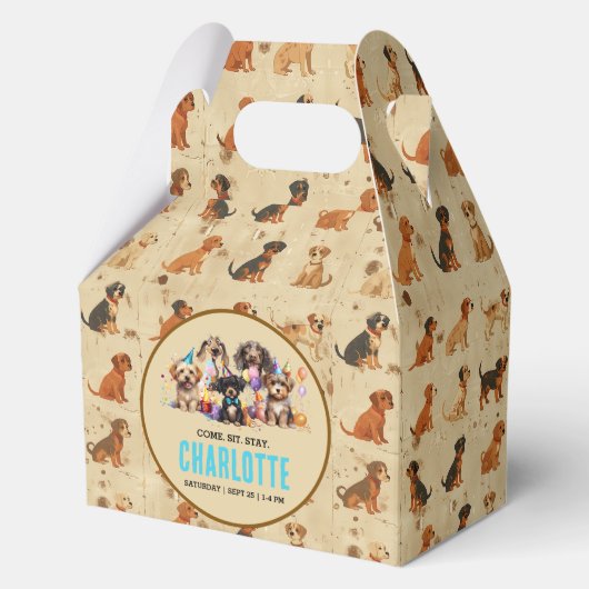 Ballotins Aquarelle Chien Pawty Puppy Anniversaire (Recto)