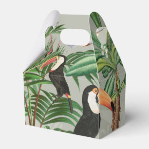 Ballotins Aquarelle Forêt tropicale et Oiseaux du Toucan