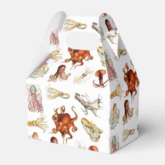 Ballotins Aquarelle Octopus Cephalopod Océan Animaux (Arrière)