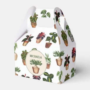 Ballotins Aquarelle Poted Plante Terracotta Nom des pots