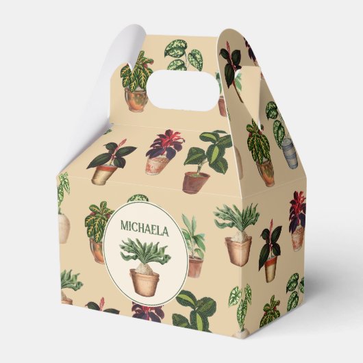 Ballotins Aquarelle Poted Plante Terracotta Nom des pots (Verso)