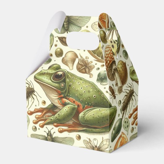 Ballotins Aquarelle vintage de grenouille (Verso)