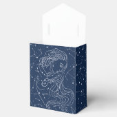 Ballotins Aquarius (Ouvert)