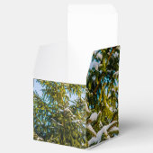 Ballotins Arbre De Noël Vert En Neige (Ouvert)