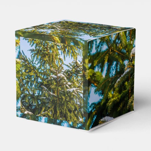 Ballotins Arbre De Noël Vert En Neige (Arrière)