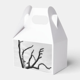 Ballotins arbre libre