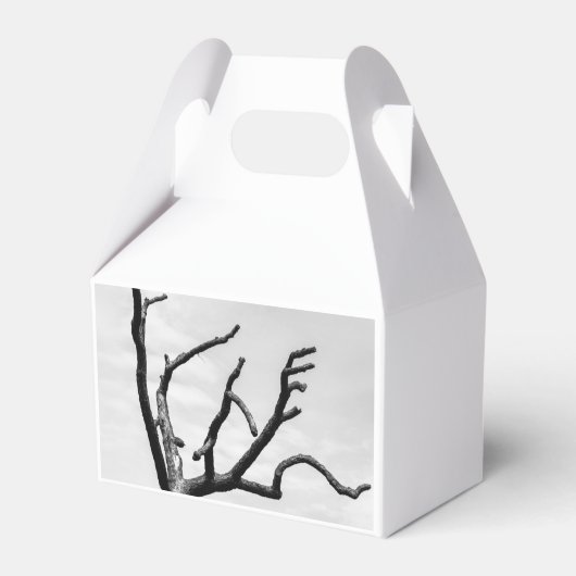 Ballotins arbre libre (Verso)