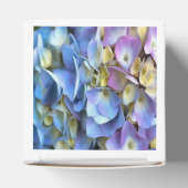 Ballotins Arbuste bleu Hydrangea Arbuste Artistique Bossom (Haut)