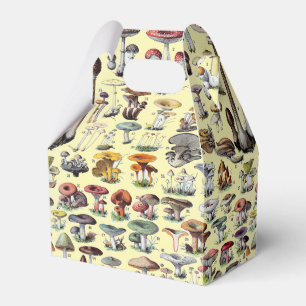 Ballotins Art botanique cottagecore vintage de champignons f