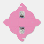 Ballotins Asgard II (Déplié)