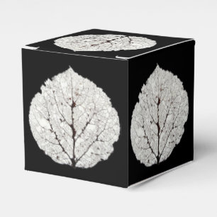 Ballotins Aspen Feuille Squelette 1