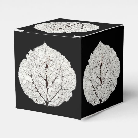 Ballotins Aspen Feuille Squelette 1 (Verso)