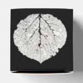 Ballotins Aspen Feuille Squelette 1 (Haut)